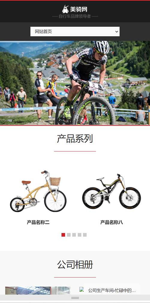 休闲运动品牌自行车类响应式公司网站建设(自适应手机端)