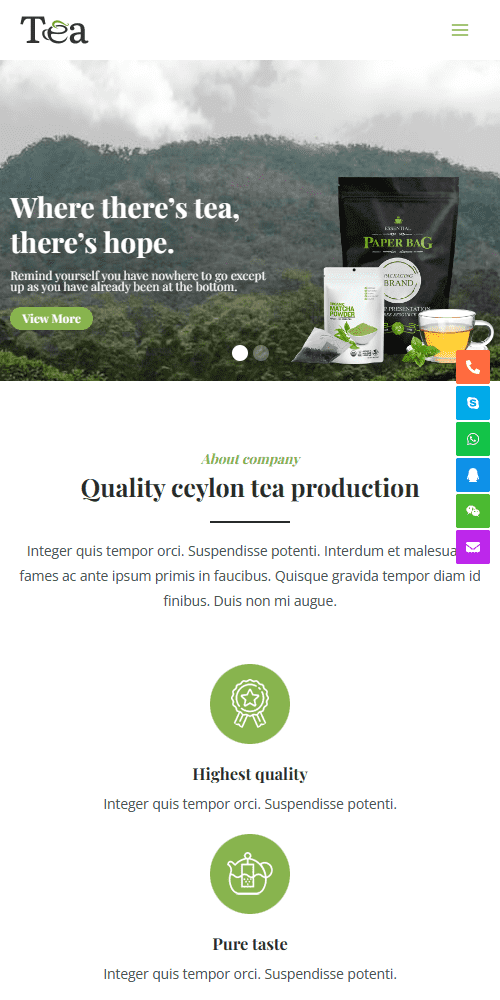 响应式英文外贸茶叶茶具产品营销独立站企业网站制作建设开发