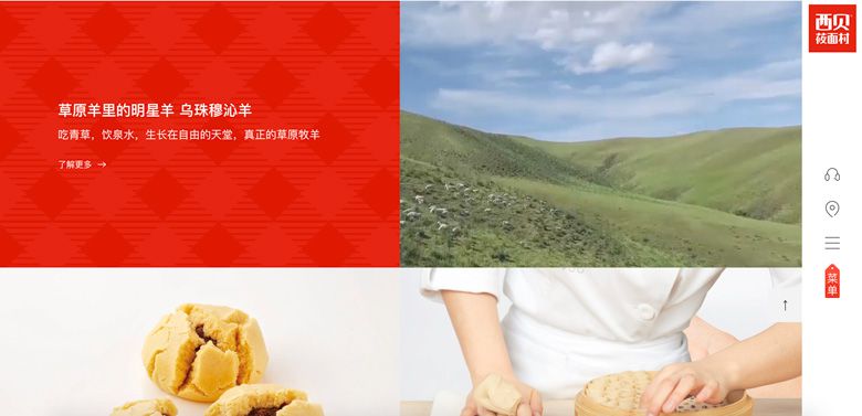 红色餐饮食品品牌网站建设欣赏参考(图30)